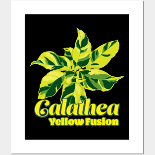 Calathea Yellow Fusion Posters and Art